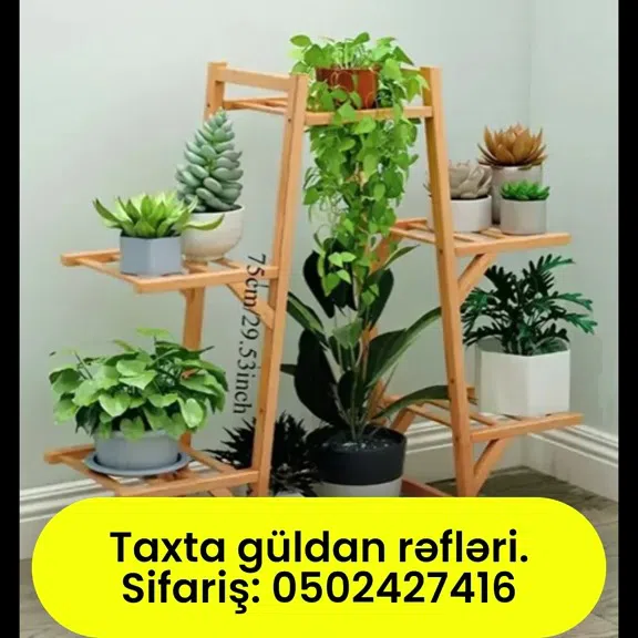 Taxta güldan rəfləri - Tenderyard