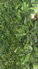 Tenderyard listing video preview