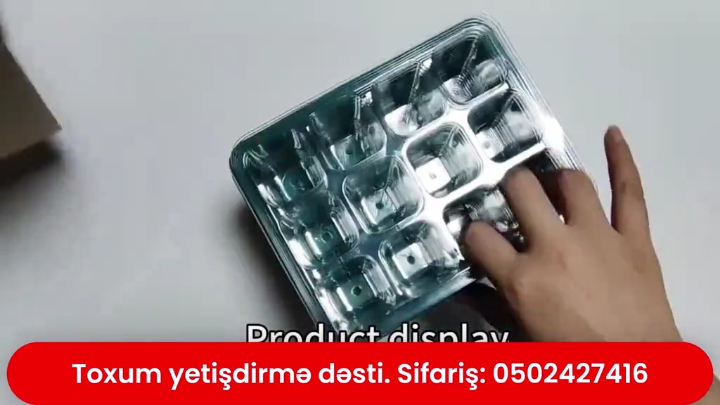Toxum yetişdirmə dəsti - Tenderyard