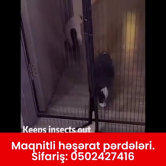 Maqnitli həşərat pərdələri (Avtomatik bağlanan qapı toru) - Tenderyard