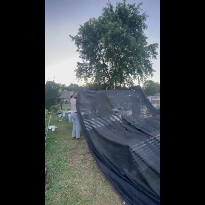 50% UV qoruyucu və istilik izolyasiya kölgələmə toru - Tenderyard