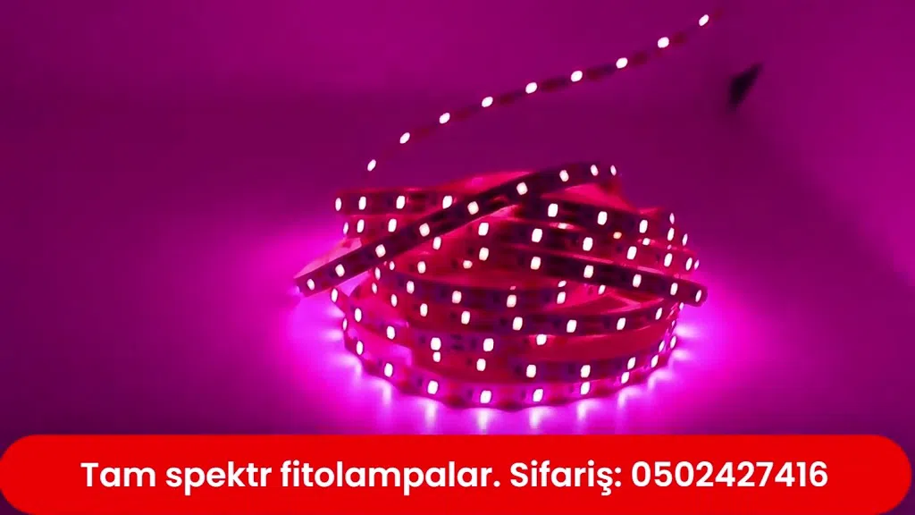 Tam spektr LED fitolampalar - Tenderyard