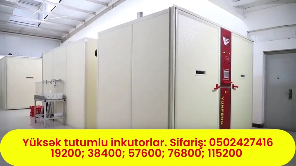 Sənaye tipli yüksək tutumlu inkubatorlar - Tenderyard