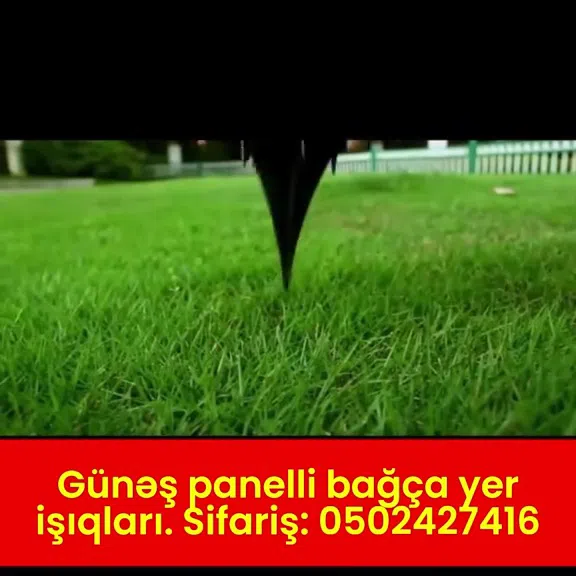 Günəş enerjili bağça işıqları - Tenderyard