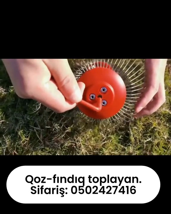 Qoz-fındıq toplayan - Tenderyard