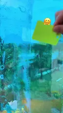 Tenderyard listing video preview