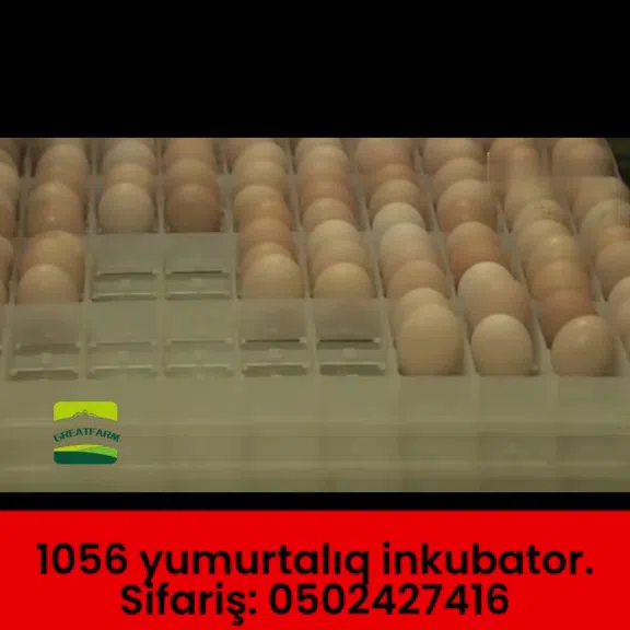 1056 yumurtalıq tam avtomatik inkubator - Tenderyard