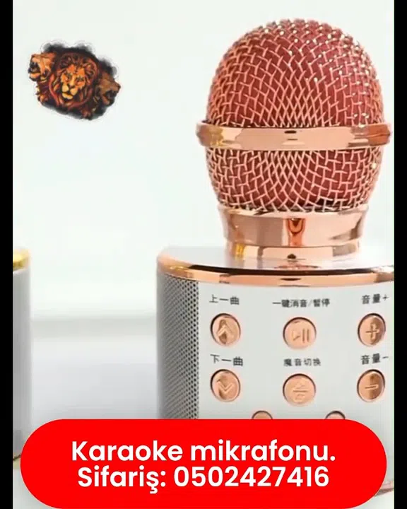Karaoke mikrofonu, portativ, Bluetooth bağlantılı - Tenderyard