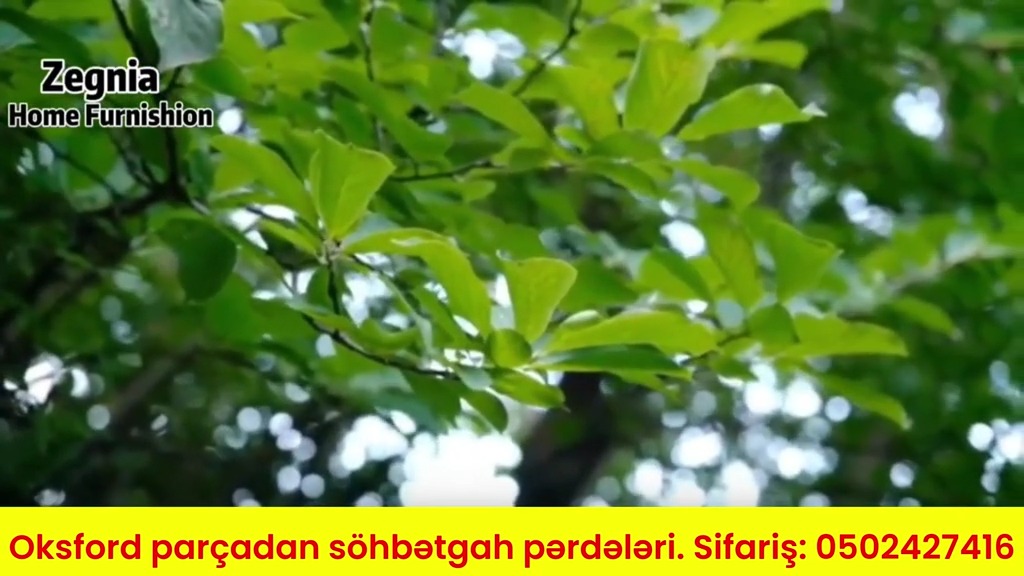 Oksford parçadan söhbətgah pərdələri - Tenderyard